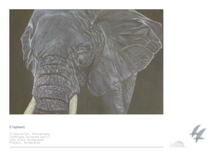 Elephant
Illustration, Photography
Technique Coloured pencil
over black background
Project, Holmesglen
 