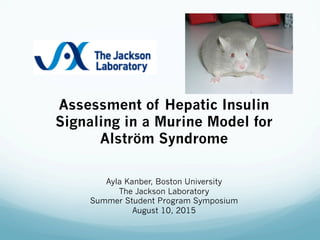 Assessment of Hepatic Insulin
Signaling in a Murine Model for
Alström Syndrome
 
Ayla Kanber, Boston University
The Jackson Laboratory
Summer Student Program Symposium
August 10, 2015
 