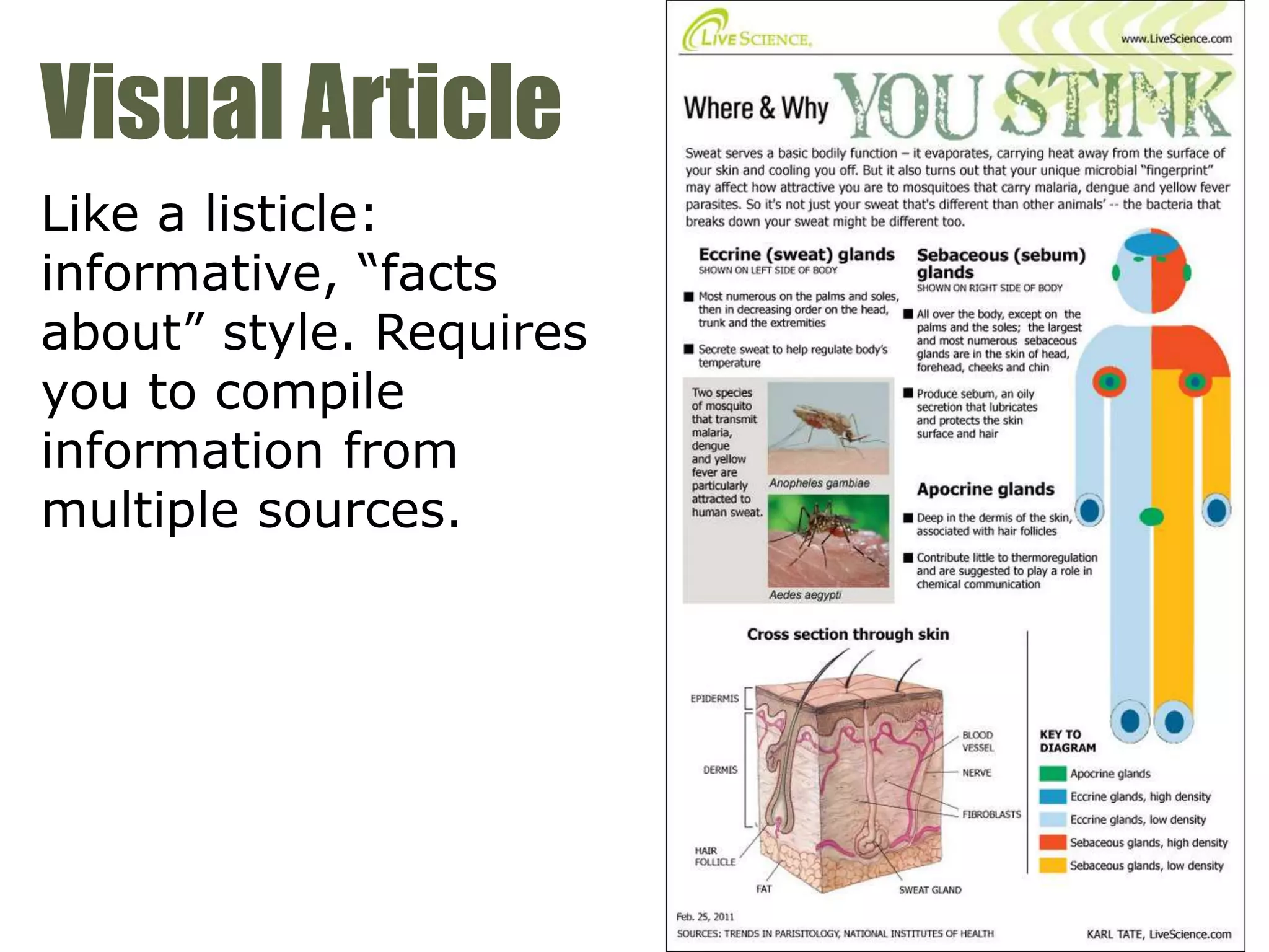 Visual Article
Like a listicle:
informative, “facts
about” style. Requires
you to compile
information from
multiple sources.
 