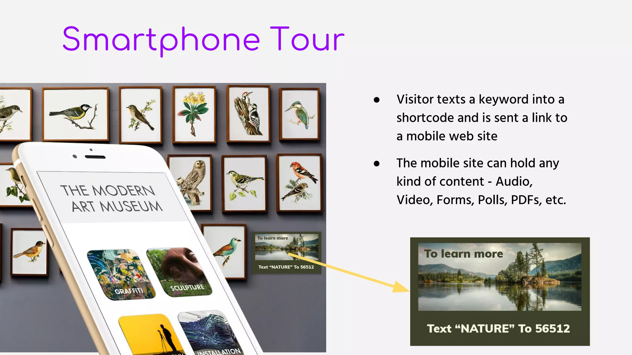 Smartphone Tour
● Visitor texts a keyword into a
shortcode and is sent a link to
a mobile web site
● The mobile site can hold any
kind of content - Audio,
Video, Forms, Polls, PDFs, etc.
 