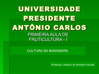 UNIVERSIDADE PRESIDENTE ANTÔNIO CARLOS PRIMEIRA AULA DE FRUTICULTURA - I CULTURA DA BANANEIRA Professor: Adriano de Almeida Franzão 