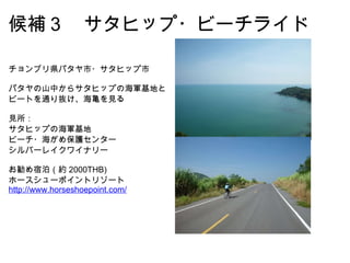候補３　サタヒップ・ビーチライド チョンブリ県パタヤ市・サタヒップ市 パタヤの山中からサタヒップの海軍基地とビートを通り抜け、海亀を見る 見所： サタヒップの海軍基地 ビーチ・海がめ保護センター シルバーレイクワイナリー お勧め宿泊（約 2000THB) ホースシューポイントリゾート http://www.horseshoepoint.com/   