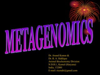 Dr. Anand Kumar &
Dr. R. A. Siddique
Animal Biochemistry Division
N.D.R.I., Karnal (Haryana)
India, 132001
E-mail: riazndri@gmail.com
 