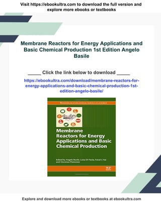 Membrane Reactors for Energy Applications and Basic Chemical Production ...