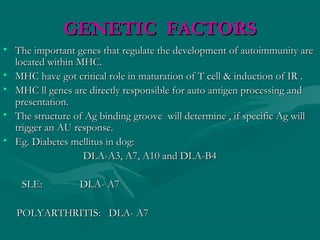 GENETIC FACTORSGENETIC FACTORS
• The important genes that regulate the development of autoimmunity areThe important genes that regulate the development of autoimmunity are
located within MHC.located within MHC.
• MHC have got critical role in maturation of T cell & induction of IR .MHC have got critical role in maturation of T cell & induction of IR .
• MHC ll genes are directly responsible for auto antigen processing andMHC ll genes are directly responsible for auto antigen processing and
presentation.presentation.
• The structure of Ag binding groove will determine , if specific Ag willThe structure of Ag binding groove will determine , if specific Ag will
trigger an AU response.trigger an AU response.
• Eg. Diabetes mellitus in dog:Eg. Diabetes mellitus in dog:
DLA-A3, A7, A10 and DLA-B4DLA-A3, A7, A10 and DLA-B4
SLE: DLA- A7SLE: DLA- A7
POLYARTHRITIS: DLA- A7POLYARTHRITIS: DLA- A7
 