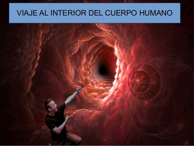 319 viaje al_cuerpo_humano