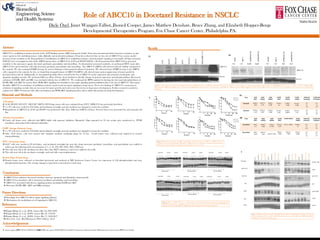  ABCC10 loss enhances docetaxel retention, increases apoptosis and diminishes tumor growth
 ABCC10 loss Sensitizes cells to docetaxel, paclitaxel, gemcitabine and vinorelbine.
 ABCC10 is associated with diverse signaling proteins including EGFR and AKT
 Decreases EGFR, SRC, AKT and ERK activation
Acknowledgements
Role of ABCC10 in Docetaxel Resistance in NSCLC
Dicle Özel, Janet Wangari-Talbot, Jhoneil Cooper, James Matthew Denshaw, Bruce Zhang, and Elizabeth Hopper-Borge
Developmental Therapeutics Program, Fox Chase Cancer Center, Philadelphia PA.
Materials and Methods
Abstract Results
Conclusions
ABCC10 is a multidrug resistance protein of the ATP binding cassette (ABC) transporter family. It has been documented that it increases resistance to anti-
cancer agents in vitro including taxanes, vinka alkaloids, and nucleoside analogues. It has been observed that, in vivo, loss of ABCC10 in a mouse model
increases tissue sensitivity to the drug paclitaxel. Contributions of ABCC10 to multidrug resistance and tumorigenic signaling in non-small cell lung carcinoma
(NSCLC) were investigated in this study. shRNA knock down of ABCC10 in A549 and H1299 NSCLC cells demonstrated that ABCC10 loss increased
sensitivity to the anti-cancer agents: docetaxel, paclitaxel, gemcitabine and vinorelbine. To demonstrate increased sensitivity, we performed MTT assays after
ABCC10 loss and treated the cells with docetaxel, paclitaxel, gemcitabine and vinorelbine. The ABCC10 shRNA cells showed reduced viability compared to
the controls. We also examined PARP cleavage by western blotting to demonstrated enhanced apoptosis. We observed more PARP cleavage in the shRNA
cells compared to the controls. In vivo, we found that xenograft tumors of ABCC10-shRNA cells showed more potent suppression of tumor growth by
docetaxel than controls. Additionally, we investigated possible effects caused by the loss of ABCC10 on the expression and activation of mitogenic and
apoptotic signaling cascades. We performed Reverse Phase Protein Array Analysis to identify changes in protein expression and phosphorylation. Decreased
activation of EGFR, AKT and SRC was correlated with the loss of ABCC10. We confirmed the RPPA analysis by showing the decreased phosphorylation of
EGFR, SRC and AKT by western blots. PI3K-AKT signaling was identified as the major signaling pathway inhibited due to the loss of ABCC10. This report
identifies ABCC10 as a mediator of multidrug resistance protein and oncogenic signaling in lung cancer. These new findings of ABCC10’s connection to
activation of signaling cascades that are necessary for tumor growth may lead to new discoveries in lung cancer development. Further research is needed to
explore how ABCC10 interacts with other mechanisms and PI3K-AKT signaling proteins and to utilize this protein for drug development.
Cell culture:
 A549, H1299, NCI-1975 , HCC827, EKVX, H358 lung cancer cells were obtained from ATCC. HEK C18 was previously described.
 1 x 106 cells were seeded in T25 flasks and incubated overnight, next day medium was changed to serum free medium
 Knockdown of ABCC10 in A549 and H1299, was performed with three different sh-RNA cell lines. Several clones were generated for each parental cell
line
Western Immunoblots:
 Crude cell lysates were collected with RIPA buffer with protease inhibitors. Routinely, 30µg separated on 7% tris acetate gels, transferred to PVDF
membrane and probed with indicated antibodies.
PARP cleavage Apoptosis Assay:
 1 x 106 cells were seeded in T25 flasks and incubated overnight, next day medium was changed to serum free medium
 After 12-16 hours, cells were treated with complete medium containing drugs for 72 hrs. Crude lysates were collected and analyzed by western
immunoblotting.
MTT Cytotoxicity Assay:
 2x105 cells were seeded in 96 well plates and incubated overnight; the next day, drugs docetaxel, paclitaxel, vinorelbine, and gemcitabine were added to
wells to get the following well concentrations: 0, 1, 3, 10, 100, 300, 1000, 3000, 10000 nm
 The cells were left in the incubator for three days, then MTT solutions 1 and 2 were added to the wells
 The cells were left in the incubator overnight and read with a spectrophotometer
Reverse Phase Protein Assay:
 Protein lysates were collected as described previously and analyzed at MD Anderson Cancer Center for expression of 162 phosphorylated and non-
phosphorylated proteins. The average change in expression is presented as a heat map.
 Grant support: JWT: 2T32-CA009035-36, EHB: NIH core grant CA06927(FCCC) and FCCC Lung Cancer Research Fund. MD Anderson Cancer Center RPPA Core Facility.
 Investigate how ABCC10 affects major signaling pathways
 Mechanisms for modulation of cell signaling by ABCC10.
Future Directions
References
Hopper-Borge, E, et al., 2004). Cancer Res 64, 4927-4930.
Hopper-Borge, E, et al., (2009). Cancer Res 69, 178-184
Hopper-Borge, E, et al., (2009). Cancer Res 71, 3649-3657
Chen, Z.S., et al., Mol Pharmacol, 2003. 63(2): p. 351-8
Figure 1. ABC transporter expression in NSCLC cell line and shRNA knockdown. A. Whole cell lysates collected from NSCLC cells and analyzed by western immunoblotting against ABCC10. HEKMRP7-C18 was used as a positive control for ABCC10. B.
Knockdown of ABCC10 by shRNA. Figure (2A) A549 and (2B) H1299 cells targeted with a non-silencing control (NSC1) or ABCC10 specific shRNA (shRNA1-3). Expression of ABCC10 was detected by western immunoblotting. The total protein was normalized
to β-Actin.
A549
H1299
HCC827
H358
NCI1975
EKVX
HEK-MRP7C18
β-actin
ABCC10
1A.
ABCC10
β-actin
1.0 1.0 0.35 0.23 1.0 1.0 0.5 0.3
1B.
Drug A549
NSC1
A549
sh501B
A549
sh901D
H1299
NSC1
H1299
sh331D
H1299
sh902C
A549 fold
Sensitivity
H1299 fold
Sensitivity
Docetaxel 16.48+/-
0.98
3.677+/-
0.79
4.80+/-
0.100
73.04+/-
0.4
11.68+/-
1.288
16.14+/-
3.389
3.5
to
4.5
4.5
to
6.3
Paclitaxel 75.42+/-
1.313
10.95+/-
0.315
19.56+/-
0.369
57.33+/-
5.207
16.29+/-
0.8832
25.11+/-
2.54
3.9
to
6.8
2.3
to
3.5
Drug A549
NSC1
A549
sh501B
A549
sh901D
H1299
NSC1
H1299 sh331D H1299
sh902C
A549 fold
resistance
H1299 fold
resistance
Vinorelbine 412+/-
1.17
34.96+/-
1.684
37.43+/-
0.7535
102.4+/-
2.457
20.4+/- 0.8701 29.95+/-
1.3
11.1
to
11.8
3.4
to
3.6
Gemcitabine 559+/-
0.555
109.9+/-
1.451 155.8+/-3.591
1182+/-
7.190-
339.5+/-
7.997
319.6+/-
4.483
3.6
to
5.1
3.5
to
3.7
2.
Figure 3. Effects of ABCC10 loss on in vitro apoptosis. Western immunoblots assessing the cleavage of poly
(ADP-Ribose) polymerase, a hallmark of apoptosis after docetaxel treatment in A549 (3A) and H1299 (3B) non-
silencing control cells and ABCC10- shRNA cells. The total protein was normalized to β-Actin.
3A.
A549 NSC1 sh501B sh901D
0 3 10 0 3 10 0 3 10
nM Docetaxel
A549 NSC1 sh501B sh901D
0 5 20 0 5 20 0 5 20
nM Gemcitabine
A549 NSC1 sh501B sh901D
0 5 20 0 5 20 0 5 20
nM Vinorelbine
0 3 10 0 3 10 0 3 10
nM Docetaxel
H1299 NSC1 sh331D sh902C
0 5 20 0 5 20 0 5 20
nM Gemcitabine
H1299 NSC1 sh331D sh902C
0 5 20 0 5 20 0 5 20
nM vinorelbine
H1299 NSC1 sh331D sh902C
A549
NSC-1
shABCC50-1B
shABCC90-1D
H1299
NSC-1
shABCC33-1D
shABCC90-2C
3B.
Figure 4. Signaling changes associated with ABCC10 loss. Western immunoblots showing a decrease in
various signaling proteins in A549 or H1299 parental cells, or control shRNA and ABCC10 shRNA
cells. β-actin was used as a loading control.
Fibronectin
pAKT S473
AKT
pmTor S2448
mTOR
SRC
SRCY416
pSRC Y416
A549
A549NSC1
A549sh501B
A549sh901D
H1299
H1299NSC1
H1299sh331D
H1299sh902C
β-actin
A549
A549NSC1
A549sh501B
A549sh901D
H1299
H1299NSC1
H1299sh331D
H1299sh902C
pEGFR Y1068
EGFR
β-actin
pERK
ERK
4
Figure 2. Docetaxel, paclitaxel, vinorelbine, gemcitabine cytotoxicity assays. 2A. Effects of ABCC10 loss on
sensitivity to docetaxel and paclitaxel. 2B. Effects of ABCC10 loss on sensitivity to vinoreline and gemcitabine.
IC50 values and fold sensitivity is indicated in the tables below each set of curves.
 