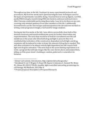 Frank Waggoner
Throughout my time in the lab, I took part in many experimental protocols and
procedures. My first few weeks were spent learning the basic techniques used for
the types of experiments I would be doing. I learned how to sent up digests, run PCR,
purify DNA from gels, transforming DNA into bacteria and yeast and much more.
After I became comfortable performing these tasks, I was let to do them on my own,
receiving only minimal guidance from other members of the lab. I additionally
learned how to use the microscopes and micropoints in the lab and even worked on
writing some programs in imageJ, a tool used for image analyses.
During my last few weeks at the lab, I was able to successfully clone both of the
desired constructs and transform them into yeast for further observation and
experimentation. The next steps would be to look for recruitment near the cell
membrane in the yeast cells when both drug and light is present. Once it is
established that activation of the constructs is dependant on both light and drug,
mutations will be induced in order to lower the amount of drug that is needed. This
will allow activation to be almost entirely light dependent, but still require both
light and drug for activation.iii The next steps in the yeast staining experiment is to
write a program that will take images like the ones shown above and analyze them,
telling us if the yeast strain’s budding is random, patterned or somewhere in
between.
i Glotzer Lab website, Introduction, http://glotzerlab.uchicago.edu/
ii Strickland D, Lin Y, Wagner E, Hope CM, Zayner J, Antoniou C, Sosnick TR, Weiss
EL, Glotzer M. (2012) TULIPs: tunable, light-controlled interacting protein tags for
cell biology. Nat Methods. 2012 Mar 4.
iii Project proposal, Description of Proposed Research.
 