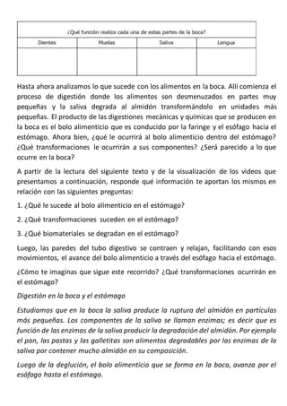 Hasta ahora analizamos lo que sucede con los alimentos en la boca. Allí comienza el
proceso de digestión donde los aliment...