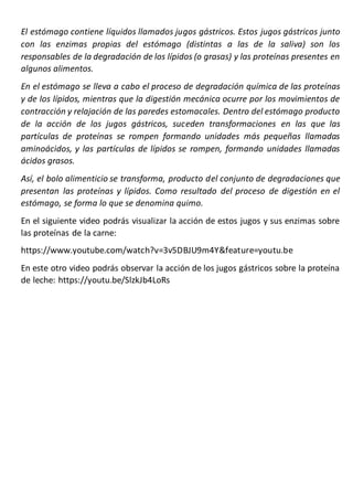 El estómago contiene líquidos llamados jugos gástricos. Estos jugos gástricos junto
con las enzimas propias del estómago (...
