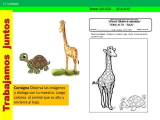 I I- Unidad:
Tema: GRUESO - DELGADO
Consigna Observa las imágenes
y dialoga con tu maestra. Luego
colorea al animal que es alto y
encierra al bajo.
 