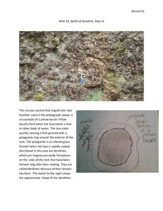 Barnett10
Mile 13, North of Kendrick, Stop 11
The circular section that engulfs the rock
hammer seen in the photograph above is
an example of a pillow basalt. Pillow
basalts form when hot lava meets a lake
or other body of water. The lava cools
quickly, leaving it fine-grained with a
polagonite ring around the exterior of the
rock. The polagonite is an altered glass
formed when hot lava is rapidly cooled.
Also found in this area are dendrites,
which are magnesium-oxide formations
on the sides of the rock that have been
formed long after their cooling. They are
called dendrites because of their branch-
like form. The sketch to the right shows
the approximate shape of the dendrites.
 