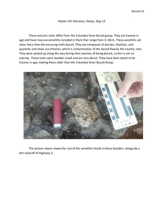 Barnett12
Potato Hill Volcanics, Deary, Stop 13
These volcanic rocks differ from the Columbia River Basalt group. They are Eocene in
age and have massive xenoliths included in them that range from 6-10cm. These xenoliths are
more felsic than the encasing mafic basalt. They are composed of dacites, rhyolites, and
quartzite and show assimilation, which is contamination of the basalt flow by the country rock.
They were picked up along the way during their journey of being placed, so this is not an
outcrop. These rocks were boulder-sized and are very dense. They have been dated to be
Eocene in age, making these older than the Columbia River Basalt Group.
The picture above shows the size of the xenoliths found in these boulders alongside a
dirt road off of Highway 3.
 