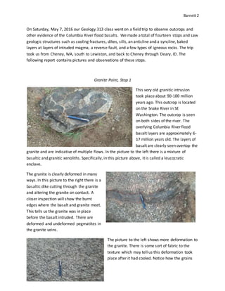 Barnett2
On Saturday, May 7, 2016 our Geology 313 class went on a field trip to observe outcrops and
other evidence of the Columbia River flood basalts. We made a total of fourteen stops and saw
geologic structures such as cooling fractures, dikes, sills, an anticline and a syncline, baked
layers at layers of intruded magma, a reverse fault, and a few types of igneous rocks. The trip
took us from Cheney, WA, south to Lewiston, and back to Cheney through Deary, ID. The
following report contains pictures and observations of these stops.
Granite Point, Stop 1
This very old granitic intrusion
took place about 90-100 million
years ago. This outcrop is located
on the Snake River in SE
Washington. The outcrop is seen
on both sides of the river. The
overlying Columbia River flood
basalt layers are approximately 6-
17 million years old. The layers of
basalt are clearly seen overtop the
granite and are indicative of multiple flows. In the picture to the left there is a mixture of
basaltic and granitic xenoliths. Specifically, in this picture above, it is called a leucocratic
enclave.
The granite is clearly deformed in many
ways. In this picture to the right there is a
basaltic dike cutting through the granite
and altering the granite on contact. A
closer inspection will show the burnt
edges where the basalt and granite meet.
This tells us the granite was in place
before the basalt intruded. There are
deformed and undeformed pegmatites in
the granite veins.
The picture to the left shows more deformation to
the granite. There is some sort of fabric to the
texture which may tell us this deformation took
place after it had cooled. Notice how the grains
 