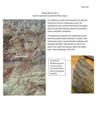 Barnett6
Weigh Station. Rte 3
South of Julianna Conventional Park, Stop 6
It's important to note at this location the intrusion
of basalt on top of a sedimentary layer. The
sedimentary layer contains many fossils of aquatic
plant life and other possible aquatic life located in
shales and brittle sandstones.
The baked layer separates the sedimentary layers
from the Grande Ronde Formation. Located in the
sedimentary layer is found lithified sandstone with
lyzengane banding. These bands are rich in iron-
oxide. Also, notice the columns above the baked
layer in the photograph to the left.
symmetrical
lithified wavestell
of a low energy
environmentwith
watermovingback
and forth.
 