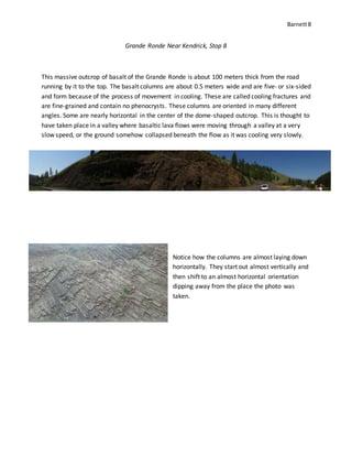 Barnett8
Grande Ronde Near Kendrick, Stop 8
This massive outcrop of basalt of the Grande Ronde is about 100 meters thick from the road
running by it to the top. The basalt columns are about 0.5 meters wide and are five- or six-sided
and form because of the process of movement in cooling. These are called cooling fractures and
are fine-grained and contain no phenocrysts. These columns are oriented in many different
angles. Some are nearly horizontal in the center of the dome-shaped outcrop. This is thought to
have taken place in a valley where basaltic lava flows were moving through a valley at a very
slow speed, or the ground somehow collapsed beneath the flow as it was cooling very slowly.
Notice how the columns are almost laying down
horizontally. They start out almost vertically and
then shift to an almost horizontal orientation
dipping away from the place the photo was
taken.
 