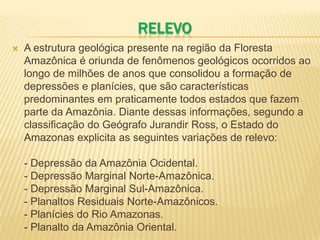 RELEVO
 A estrutura geológica presente na região da Floresta
Amazônica é oriunda de fenômenos geológicos ocorridos ao
longo de milhões de anos que consolidou a formação de
depressões e planícies, que são características
predominantes em praticamente todos estados que fazem
parte da Amazônia. Diante dessas informações, segundo a
classificação do Geógrafo Jurandir Ross, o Estado do
Amazonas explicita as seguintes variações de relevo:
- Depressão da Amazônia Ocidental.
- Depressão Marginal Norte-Amazônica.
- Depressão Marginal Sul-Amazônica.
- Planaltos Residuais Norte-Amazônicos.
- Planícies do Rio Amazonas.
- Planalto da Amazônia Oriental.
 