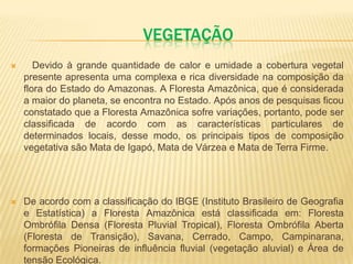VEGETAÇÃO
 Devido à grande quantidade de calor e umidade a cobertura vegetal
presente apresenta uma complexa e rica diversidade na composição da
flora do Estado do Amazonas. A Floresta Amazônica, que é considerada
a maior do planeta, se encontra no Estado. Após anos de pesquisas ficou
constatado que a Floresta Amazônica sofre variações, portanto, pode ser
classificada de acordo com as características particulares de
determinados locais, desse modo, os principais tipos de composição
vegetativa são Mata de Igapó, Mata de Várzea e Mata de Terra Firme.
 De acordo com a classificação do IBGE (Instituto Brasileiro de Geografia
e Estatística) a Floresta Amazônica está classificada em: Floresta
Ombrófila Densa (Floresta Pluvial Tropical), Floresta Ombrófila Aberta
(Floresta de Transição), Savana, Cerrado, Campo, Campinarana,
formações Pioneiras de influência fluvial (vegetação aluvial) e Área de
tensão Ecológica.
 