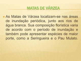 MATAS DE VÁRZEA
 As Matas de Várzea localizam-se nas áreas
de inundação periódica, junto aos rios de
água branca. Sua composição florística varia
de acordo com o período de inundação e
também pode apresentar espécies de maior
porte, como a Seringueira e o Pau Mulato.
 