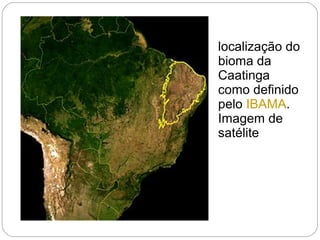 localização do
bioma da
Caatinga
como definido
pelo IBAMA.
Imagem de
satélite
 