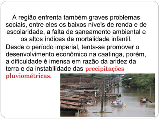 A região enfrenta também graves problemas
sociais, entre eles os baixos níveis de renda e de
escolaridade, a falta de saneamento ambiental e
os altos índices de mortalidade infantil.
Desde o período imperial, tenta-se promover o
desenvolvimento econômico na caatinga, porém,
a dificuldade é imensa em razão da aridez da
terra e da instabilidade das precipitações 
pluviométricas.
 