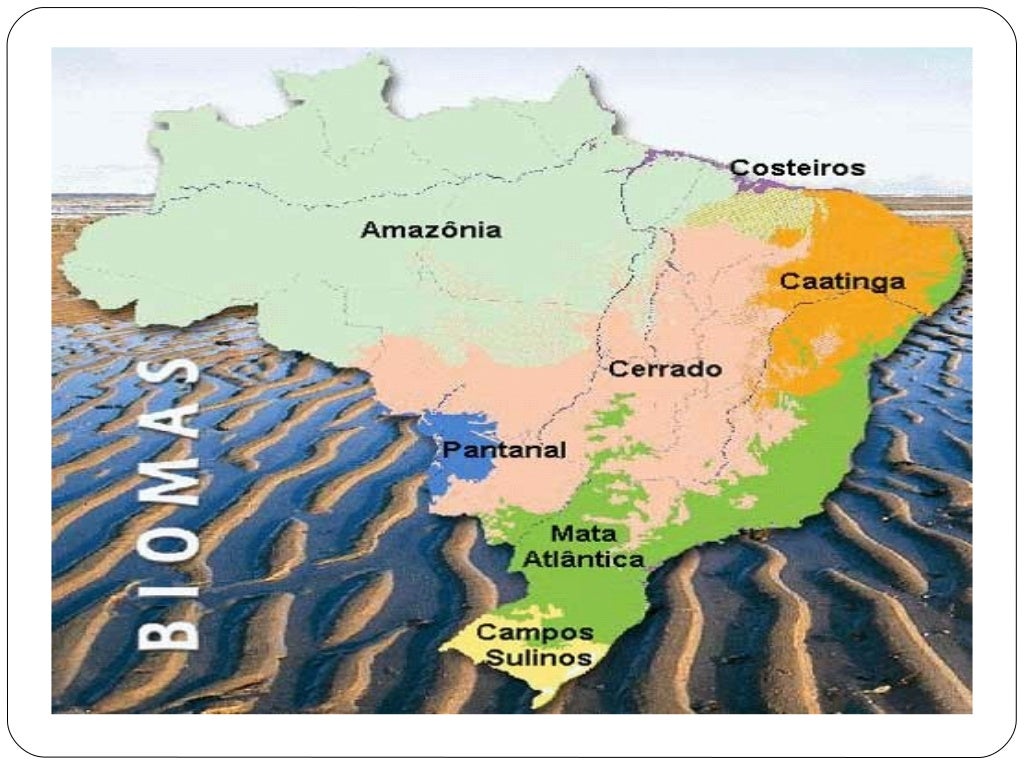 O Dominio Morfoclimatico Brasileiro Descrito Pelo Trecho Acima é O