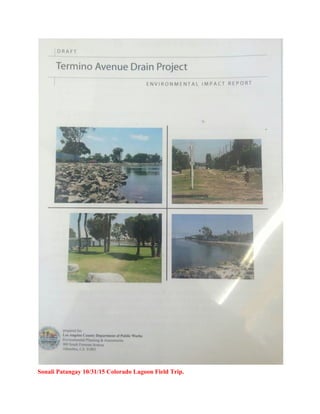  
Sonali Patangay 10/31/15 Colorado Lagoon Field Trip. 
 