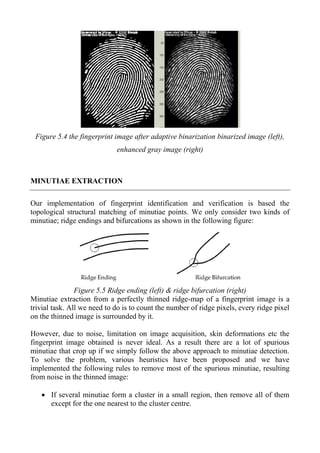 Figure 5.4 the fingerprint image after adaptive binarization binarized image (left),
enhanced gray image (right)
MINUTIAE EXTRACTION
Our implementation of fingerprint identification and verification is based the
topological structural matching of minutiae points. We only consider two kinds of
minutiae; ridge endings and bifurcations as shown in the following figure:
Figure 5.5 Ridge ending (left) & ridge bifurcation (right)
Minutiae extraction from a perfectly thinned ridge-map of a fingerprint image is a
trivial task. All we need to do is to count the number of ridge pixels, every ridge pixel
on the thinned image is surrounded by it.
However, due to noise, limitation on image acquisition, skin deformations etc the
fingerprint image obtained is never ideal. As a result there are a lot of spurious
minutiae that crop up if we simply follow the above approach to minutiae detection.
To solve the problem, various heuristics have been proposed and we have
implemented the following rules to remove most of the spurious minutiae, resulting
from noise in the thinned image:
 If several minutiae form a cluster in a small region, then remove all of them
except for the one nearest to the cluster centre.
 