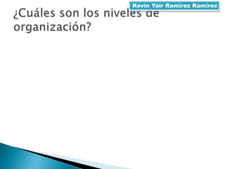 Kevin Yair Ramírez Ramírez
 