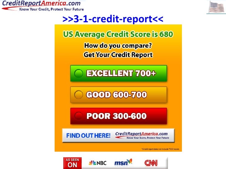 3 1 Credit Report