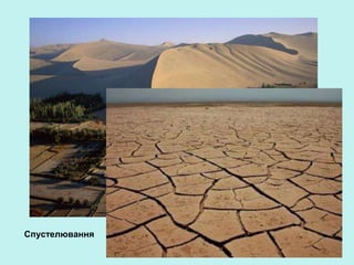 Спустелювання
 