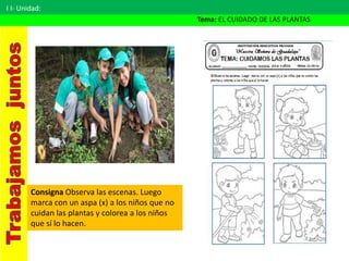 I I- Unidad:
Tema: EL CUIDADO DE LAS PLANTAS
Consigna Observa las escenas. Luego
marca con un aspa (x) a los niños que no
cuidan las plantas y colorea a los niños
que sí lo hacen.
 