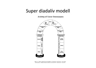 Super diadalív modell
 