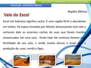 FACULDADE E SEMINÁRIOS TEOLÓGICO NACIONAL
DISCIPLINA: GEOGRAFIA BÍBLICA
43
Regiões Bíblicas
Escol em hebraico significa cacho. É uma região fértil e abundante
em vinhas. Os espias enviados por Moisés atravessaram este vale e
cortaram dele os enormes cachos de uvas que foram trazidos
atravessados em uma vara. Ainda hoje ele continua famoso pela
fertilidade de seu solo, e rende muitas divisas a Israel com a
produção de: uvas, romãs e figos.
 