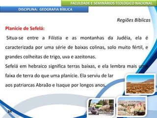 FACULDADE E SEMINÁRIOS TEOLÓGICO NACIONAL
DISCIPLINA: GEOGRAFIA BÍBLICA
34
Regiões Bíblicas
Planície de Sefelá:
Situa-se entre a Filístia e as montanhas da Judéia, ela é
caracterizada por uma série de baixas colinas, solo muito fértil, e
grandes colheitas de trigo, uva e azeitonas.
Sefelá em hebraico significa terras baixas, e ela lembra mais uma
faixa de terra do que uma planície. Ela serviu de lar
aos patriarcas Abraão e Isaque por longos anos.
 