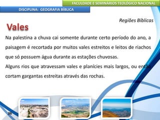 FACULDADE E SEMINÁRIOS TEOLÓGICO NACIONAL
DISCIPLINA: GEOGRAFIA BÍBLICA
36
Regiões Bíblicas
Na palestina a chuva cai somente durante certo período do ano, a
paisagem é recortada por muitos vales estreitos e leitos de riachos
que só possuem água durante as estações chuvosas.
Alguns rios que atravessam vales e planícies mais largos, ou então
cortam gargantas estreitas através das rochas.
 