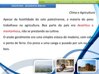 FACULDADE E SEMINÁRIOS TEOLÓGICO NACIONAL
DISCIPLINA: GEOGRAFIA BÍBLICA
67
Clima e Agricultura
Apesar da hostilidade do solo palestinense, a maioria do povo
trabalhava na agricultura. Boa parte do país era desértica e
montanhosa, não se prestando ao cultivo.
O arado geralmente era uma simples estaca de madeira, com cabo
e ponta de ferro. Era preso a uma canga e puxado por um ou dois
bois.
 