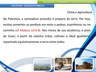 FACULDADE E SEMINÁRIOS TEOLÓGICO NACIONAL
DISCIPLINA: GEOGRAFIA BÍBLICA
68
Clima e Agricultura
Na Palestina, a semeadura precedia o preparo da terra. Por isso,
muitas sementes se perdiam em meio a pedras, espinheiros ou no
caminho (cf. Mateus 13:4-9). Nos inícios de sua existência, o povo
de Israel, a partir do sistema tribal, cultivou o ideal igualitário,
repartindo equitativamente a terra entre todos.
 
