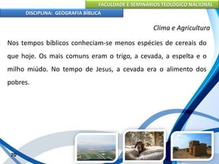 FACULDADE E SEMINÁRIOS TEOLÓGICO NACIONAL
DISCIPLINA: GEOGRAFIA BÍBLICA
70
Clima e Agricultura
Nos tempos bíblicos conheciam-se menos espécies de cereais do
que hoje. Os mais comuns eram o trigo, a cevada, a espelta e o
milho miúdo. No tempo de Jesus, a cevada era o alimento dos
pobres.
 