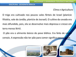 FACULDADE E SEMINÁRIOS TEOLÓGICO NACIONAL
DISCIPLINA: GEOGRAFIA BÍBLICA
72
Clima e Agricultura
O trigo era cultivado nos poucos vales férteis de Israel (planície
filistéia, vale do Jordão, planície de Jezrael). O cultivo da cevada era
mais difundido, pois, ela se desenvolve mais depressa e cresce em
terra menos fértil.
O pão era o alimento básico do povo bíblico. Era feito de vários
cereais. A expressão não ter pão para comer significa passar fome.
 