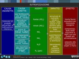 EUTROFIZZAZIONE
CAUSA
INDIRETTA

CAUSA
DIRETTA
uso fertilizzanti
per giardino
(fosfati, nitrati)

consumo di
prodotti
alimentari a
coltivazione
intensiva

agricoltura:
concimi
(fosfati) e
fertilizzanti
azotati (nitrati)
acque di
scarico e fogne
(nitrati, fosfati)
uso detergenti
con fosfati
scarichi
industriali
(nitrati, fosfati)
uso macchine
emissioni gas
esausti
(> NOx)

AGENTI

fosfati (PO4)
nitrati (NO3)
NOx
NH3
N2O
N2 (gas)

IMPATTO

accumulo di
nutrienti,
nitrati e
fosfati, nelle
acque e nel
terreno oltre
la capacità di
auto
depurazione
assimilazione
dalle alghe
che crescono
a dismisura
decomposiz.
alghe
consuma
l’ossigeno
dell’acqua

carlo vezzoli
Politecnico di Milano / dip. Design / DIS / Scuola del Design / Italia

EFFETTO

moria fauna
acquatica per
mancanza
ossigeno
contaminaz.
delle falde
acquifere e
laghi non più
usabili per
alimentazione
ostacolo alla
balneazione
(laghi e mari)

 