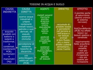 TOSSINE IN ACQUA E SUOLO
CAUSA
INDIRETTA

acquisto
prodotti con
batterie o
isolanti o
trasformat.
e
condensat.
(contenenti
PCB);
termometri
e
manometri
(Hg)

CAUSA
DIRETTA
scarico acque
industriali e
urbane
contenenti
metalli tossici,
petrolio e suoi
derivati, oli
esausti,
sostanze
chimiche
percolazione di
sostanze
tossiche da
discariche
uso
anticrittogam.
additivati con
(PCB)

AGENTI
metalli pesanti
mercurio
piombo
arsenico
cadmio
cromo
esavalente
nichel
selenio
zinco
pesticidi
clorurati
(insetticida
DDT)
sostanze
chimiche
PoliCloroBifen.
(PCB)
PCT
petrolio
oli esausti

IMPATTO

accumulo di
prodotti tossici
e persistenti
nel terreno e
nell’acqua e
nei tessuti
animali
e loro flusso,
più o meno
diretto (catena
alimentare),
verso l’uomo

carlo vezzoli
Politecnico di Milano / dip. Design / DIS / Scuola del Design / Italia

EFFETTO
il piombo porta
al saturnismo
(danno cronico
al sistema
nervoso)
il
PoliCloroBifenile
(PCB) ha effetti
tossici sui
tessuti epatico e
cerebrale
inquinamento
falda acquifera:
- non più
potabile
- non più
usabile per
l’irrigazione
- non più
usabile per
ricreazione

 