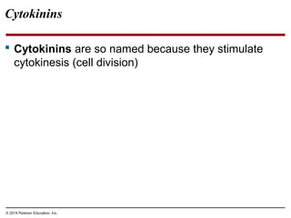 © 2014 Pearson Education, Inc.
Cytokinins
 Cytokinins are so named because they stimulate
cytokinesis (cell division)
 