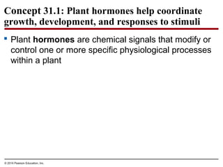 © 2014 Pearson Education, Inc.
Concept 31.1: Plant hormones help coordinate
growth, development, and responses to stimuli
 Plant hormones are chemical signals that modify or
control one or more specific physiological processes
within a plant
 