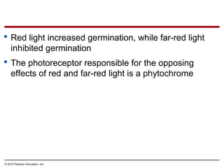 © 2014 Pearson Education, Inc.
 Red light increased germination, while far-red light
inhibited germination
 The photoreceptor responsible for the opposing
effects of red and far-red light is a phytochrome
 