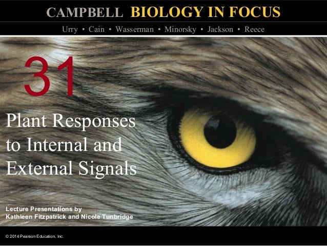 Biology In Focus Chapter 31