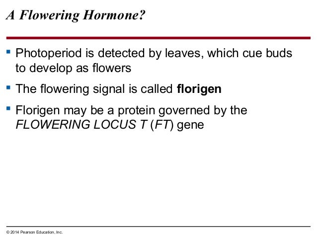 Biology In Focus Chapter 31