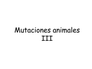 Mutaciones animales III 