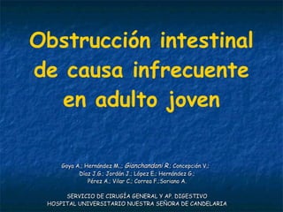 Obstrucción intestinal de causa infrecuente en adulto joven Goya A.; Hernández M..;  Gianchandani R .; Concepción V.;  Díaz J.G.; Jordán J.; López E.; Hernández G.;  Pérez A.; Vilar C.; Correa F.;Soriano A. SERVICIO DE CIRUGÍA GENERAL Y AP. DIGESTIVO HOSPITAL UNIVERSITARIO NUESTRA SEÑORA DE CANDELARIA 