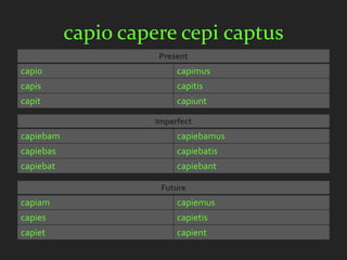 capio capere cepi captus
                     Present
capio                     capimus
capis                     capitis
capit                     capiunt

                     Imperfect
capiebam                  capiebamus
capiebas                  capiebatis
capiebat                  capiebant

                      Future
capiam                    capiemus
capies                    capietis
capiet                    capient
 